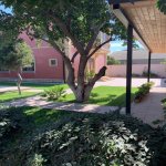 Kirayə (aylıq) 5 otaqlı Bağ evi, Qala, Xəzər rayonu 13