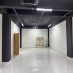 Kirayə (aylıq) 1 otaqlı Bağ evi, Gənclik metrosu, Nərimanov rayonu 3