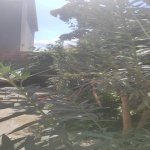 Satılır 6 otaqlı Həyət evi/villa, Badamdar qəs., Səbail rayonu 4