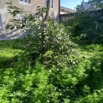 Kirayə (günlük) 6 otaqlı Yeni Tikili Quba 3
