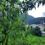 Kirayə (günlük) 3 otaqlı Həyət evi/villa Qax 19