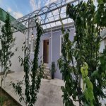 Satılır 4 otaqlı Həyət evi/villa, Qara Qarayev metrosu, Nizami rayonu 18