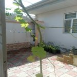 Satılır 3 otaqlı Həyət evi/villa Xırdalan 2