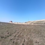 Satılır Torpaq, Novxanı, Abşeron rayonu 4