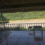 Kirayə (günlük) 4 otaqlı Həyət evi/villa Qax 4