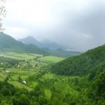 Satılır Torpaq Qəbələ 9