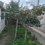 Satılır 3 otaqlı Həyət evi/villa Xırdalan 22