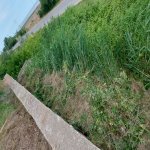 Satılır 7 otaqlı Həyət evi/villa Xaçmaz / Nabran 10