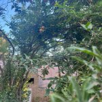 Satılır 5 otaqlı Həyət evi/villa, Binəqədi qəs., Binəqədi rayonu 22