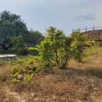 Satılır Torpaq, Novxanı, Abşeron rayonu 15