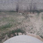 Satılır 5 otaqlı Həyət evi/villa, Maştağa qəs., Sabunçu rayonu 8