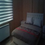 Kirayə (günlük) 4 otaqlı Həyət evi/villa Qəbələ 4