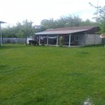 Satılır 3 otaqlı Bağ evi Şəki 3