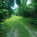 Kirayə (günlük) 3 otaqlı Həyət evi/villa Qəbələ 3