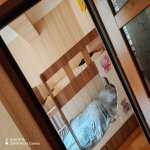Kirayə (aylıq) 3 otaqlı Yeni Tikili, Koroğlu metrosu, Sabunçu rayonu 10