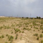 Satılır Torpaq, Sabunçu rayonu 7