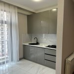 Аренда 2 комнатная Новостройка, м. Дярнягюль метро, 7-ой микрорайон, Торговый центр Элит, Бинагадинский р-н район 12
