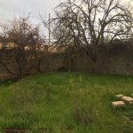 Satılır Torpaq, Fatmayi, Abşeron rayonu 3