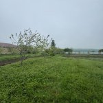 Satılır Torpaq İsmayıllı 4