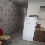 Kirayə (aylıq) 1 otaqlı Köhnə Tikili, Nizami metrosu, Yasamal rayonu 12