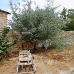 Satılır 4 otaqlı Bağ evi, Zirə, Xəzər rayonu 9