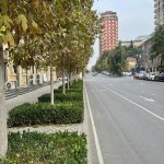 Аренда Объект, Насими район 11