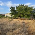 Satılır 3 otaqlı Həyət evi/villa Xızı 6