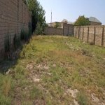 Satılır Torpaq, Novxanı, Abşeron rayonu 5