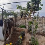 Satılır 3 otaqlı Həyət evi/villa Sumqayıt 10