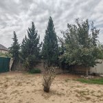 Продажа 5 комнатная Дача, Бузовна, Хязяр район 4