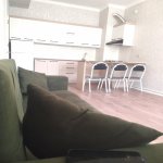Kirayə (aylıq) 2 otaqlı Yeni Tikili, Yeni Günəşli qəs., Suraxanı rayonu 2