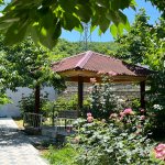 Kirayə (günlük) 3 otaqlı Bağ evi Quba 6