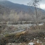 Satılır Torpaq Qəbələ 10
