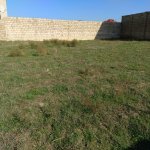 Satılır Torpaq, Saray, Abşeron rayonu 7