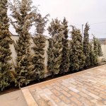Kirayə (günlük) 4 otaqlı Həyət evi/villa Qusar 9