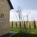 Kirayə (aylıq) 9 otaqlı Həyət evi/villa, Mərdəkan, Xəzər rayonu 9