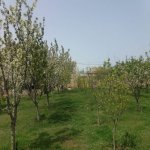 Satılır 4 otaqlı Həyət evi/villa, Saray, Abşeron rayonu 23
