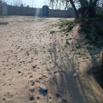 Satılır Torpaq, Nardaran qəs., Sabunçu rayonu 11