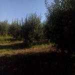 Satılır Torpaq Quba 3