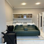 Kirayə (aylıq) Obyekt, Nəsimi rayonu 7