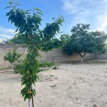 Satılır 3 otaqlı Həyət evi/villa Sumqayıt 8