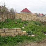 Satılır Torpaq, Saray, Abşeron rayonu 3