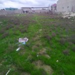 Продажа Участок, пос. Маштага, Сабунчу район 5