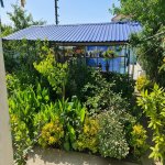Kirayə (aylıq) 6 otaqlı Həyət evi/villa, Novxanı, Abşeron rayonu 5