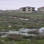 Satılır Torpaq, Saray, Abşeron rayonu 11