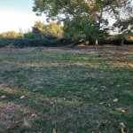 Satılır 3 otaqlı Həyət evi/villa Oğuz 13