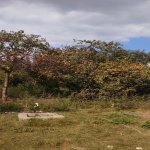 Satılır 2 otaqlı Həyət evi/villa Bərdə 6