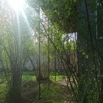 Satılır 4 otaqlı Bağ evi Qəbələ 3