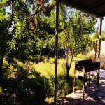 Kirayə (günlük) 3 otaqlı Həyət evi/villa Quba 11
