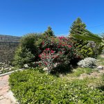 Kirayə (aylıq) 2 otaqlı Bağ evi, Nardaran qəs., Sabunçu rayonu 7